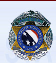 State Protection Services